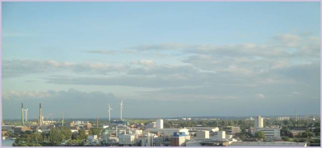 DSC08329.JPG